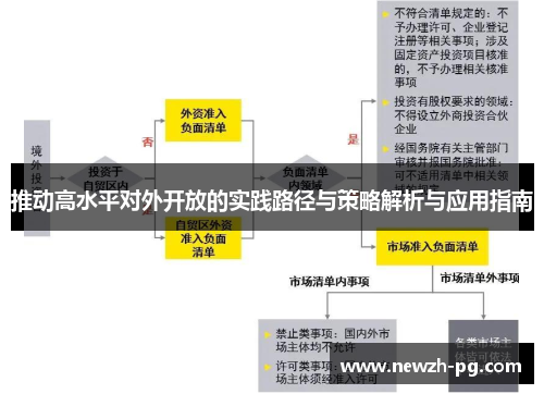 推动高水平对外开放的实践路径与策略解析与应用指南