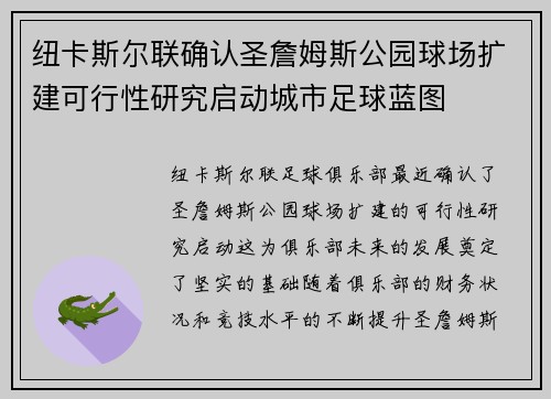 纽卡斯尔联确认圣詹姆斯公园球场扩建可行性研究启动城市足球蓝图