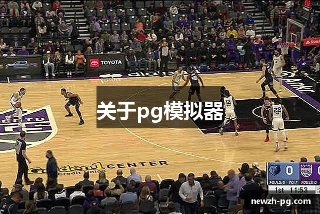 关于pg模拟器
